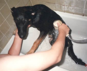 Ilsa's first bath, October 1992