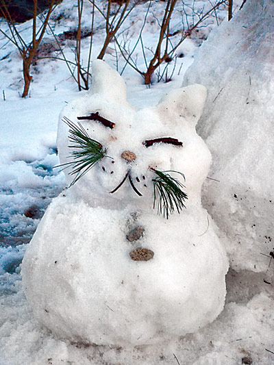 snowcat (80k image)