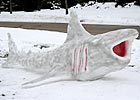 snowsharks (4k image)