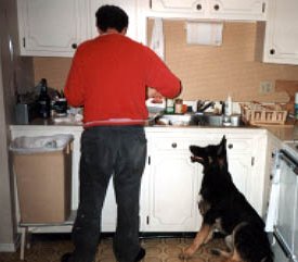 Ilsa the Moocher, Thanksgiving, 1992